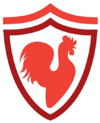 Red Rooster Property Management